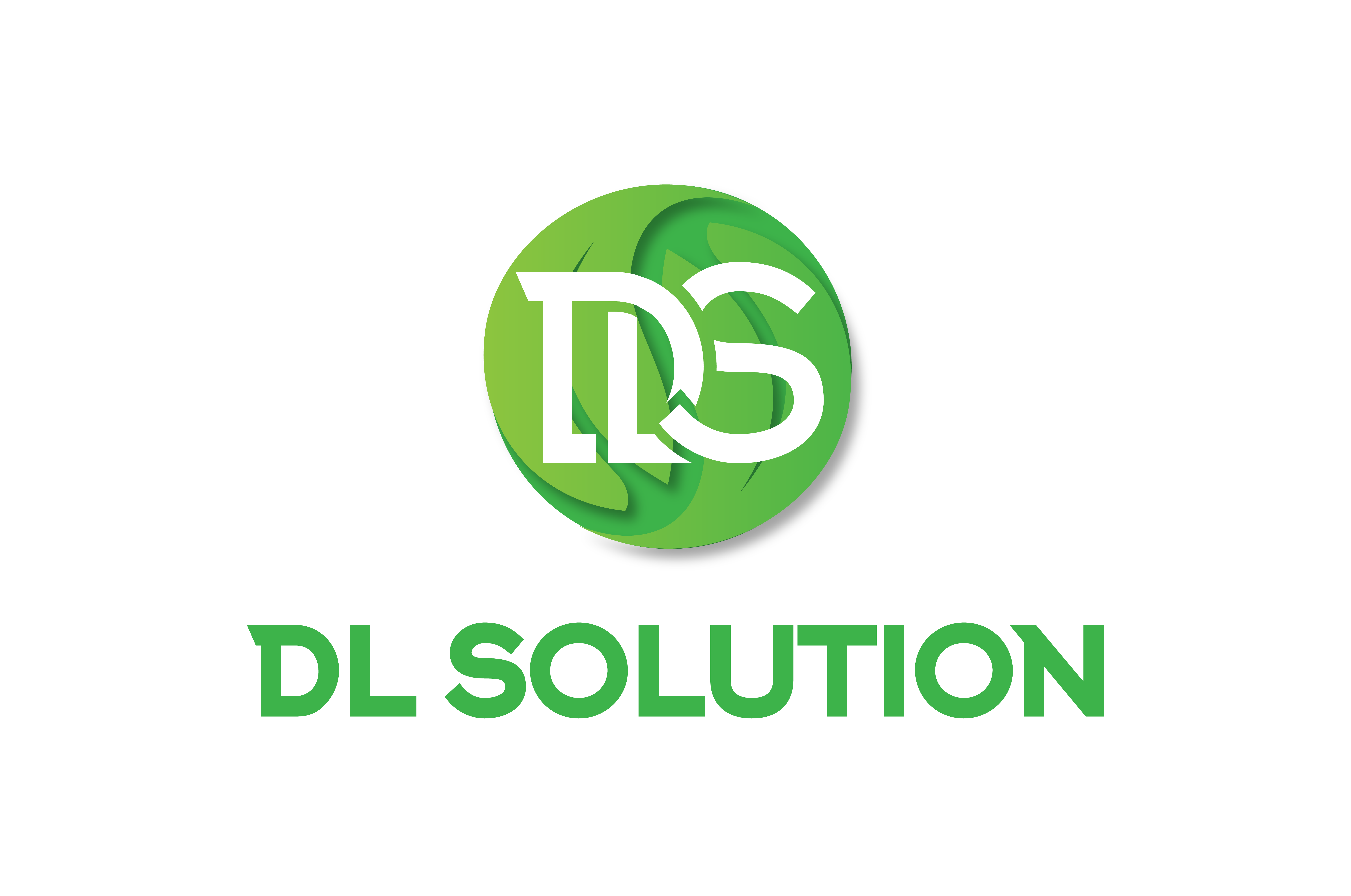 DL SOLUTION призначення директора компанії